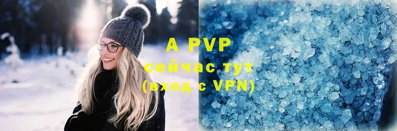 A-PVP СК КРИС  Лермонтов 